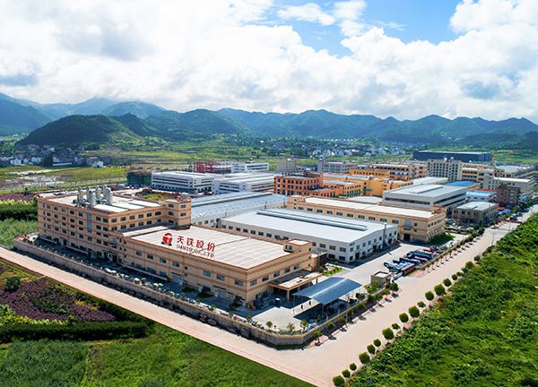 Company Profile